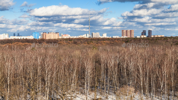 panoramic view of bare trees and last melting snow - Stock Photo - Images