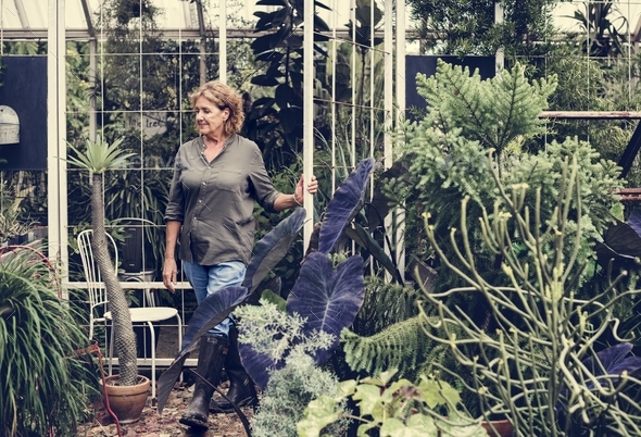 Woman working in a greenhouse Stock Photo by Rawpixel | PhotoDune
