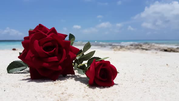 Wide angle birds eye abstract shot of a summer white paradise sand beach and turquoise sea backgroun alt