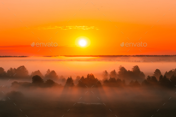 Amazing Sunrise Over Misty Landscape. Scenic View Of Foggy Morni - Stock Photo - Images