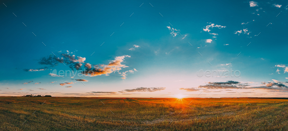 Sunset, Sunrise Rural Meadow Field In August Month. Countryside - Stock Photo - Images