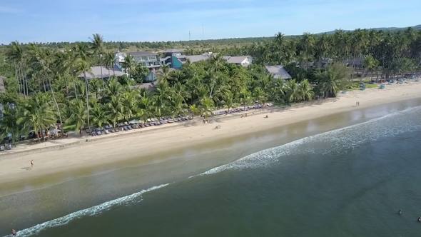 Palm Trees Buildings and Boats on Beach alt