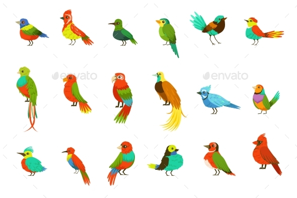 Exotic Birds From Jungle Rain Forest Set - Animals Characters