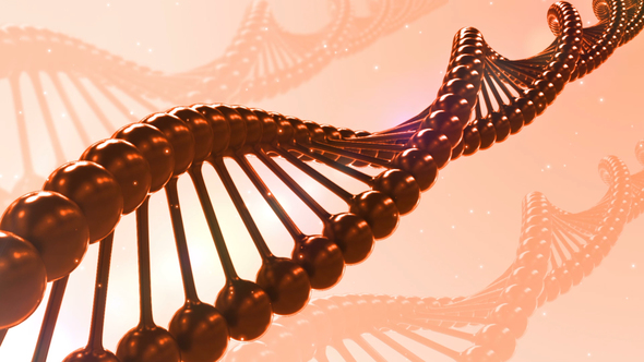 DNA Helix of Seamless Loop