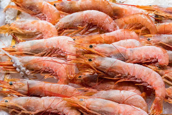 Frozen shrimps for sale - Stock Photo - Images