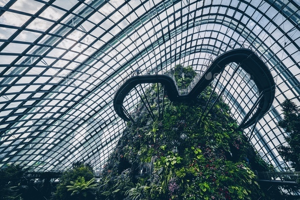 Cloud Forest Singapore Stock Photo by lensandshutter | PhotoDune