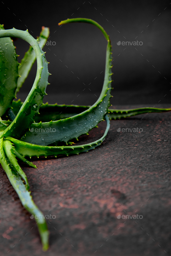 Aloe vera on brown background. - Stock Photo - Images