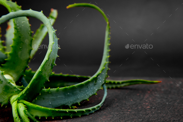 Aloe vera on brown background. - Stock Photo - Images