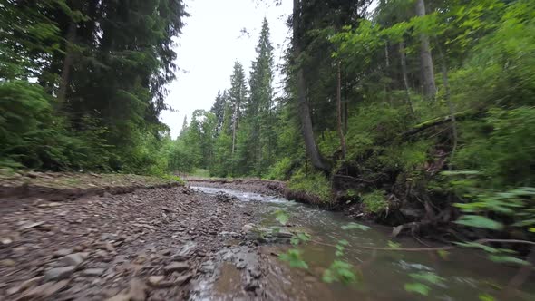 Smooth Rapid Flight Over a Mountain River Close to the Water Among a Dense Forest alt