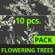 Flowering Trees - VideoHive Item for Sale