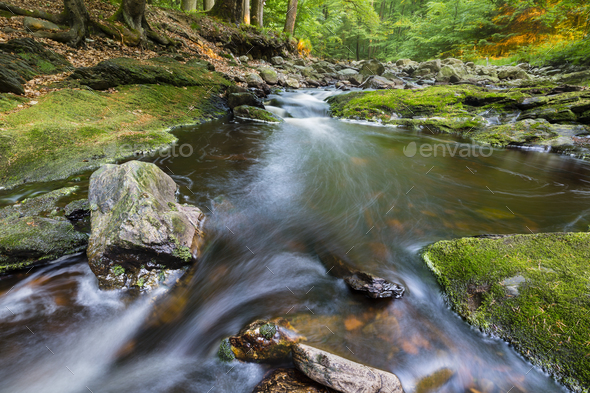 Mountain Stream In Evening Light - Stock Photo - Images