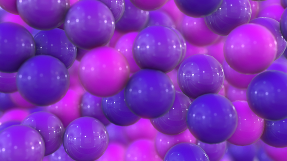 Purple Bubbles Transitions