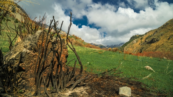 Landscape Damaged By the Thomas Fire in California Mountains in alt
