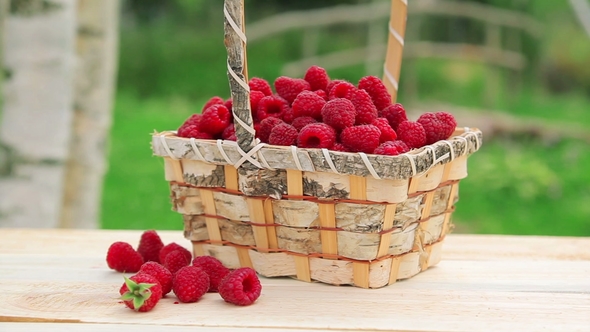 Panorama of a Wicker Basket with Ripe Red Raspberries alt