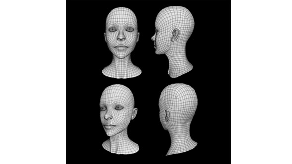 Human Female Head - 3Docean 21786956