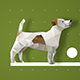 Pets Logo Reveal - VideoHive Item for Sale