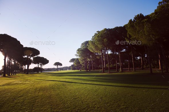 golf course - Stock Photo - Images