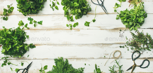 Various fresh green kitchen herbs over wooden background, wide composition - Stock Photo - Images
