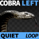 Cobra Left View Quiet - VideoHive Item for Sale