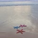 Soft Waves Crashing Colorful Starfish At Karon Beach, Phuket. - VideoHive Item for Sale
