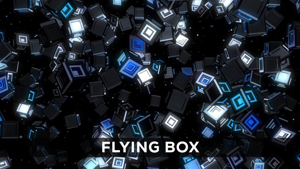 Flying Box