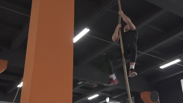 Fitness Man Doing Rope Climb Exercise in Gym