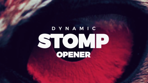 Dynamic Stomp Opener - VideoHive 21711200