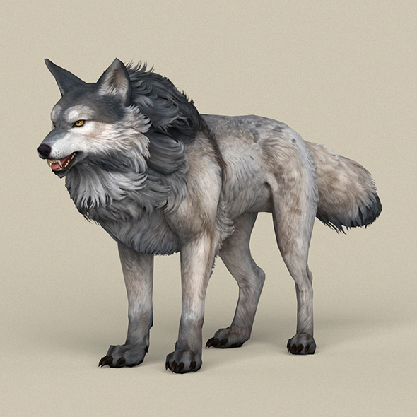Game Ready Wolf - 3Docean 21804170