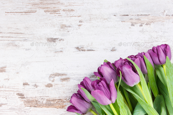 Bouquet of purple tulips for different occasions, copy space for text on white rustic boards Stock Photo by ratmaner
