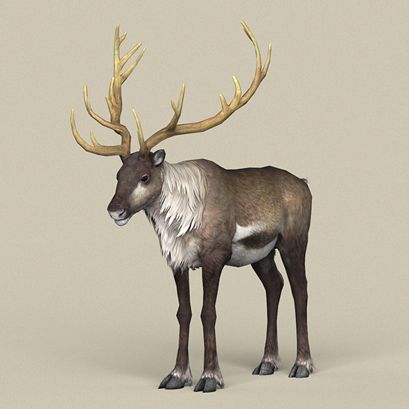 Game Ready Reindeer - 3Docean 21804568