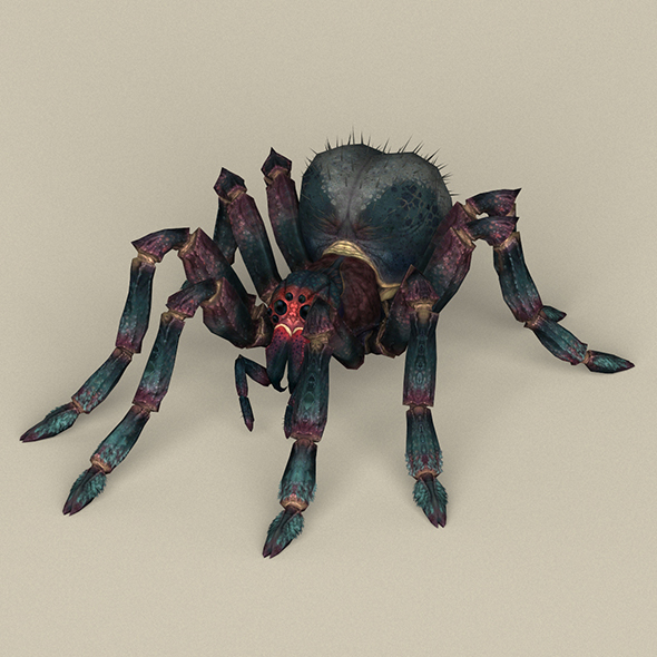 Game Ready Spider - 3Docean 21805487
