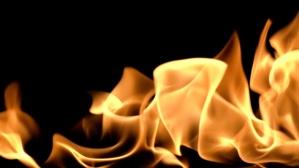 Slow Movement of Clean Fire, Igniting and Burning. On a Black Background, a Line of Real Flames Is alt