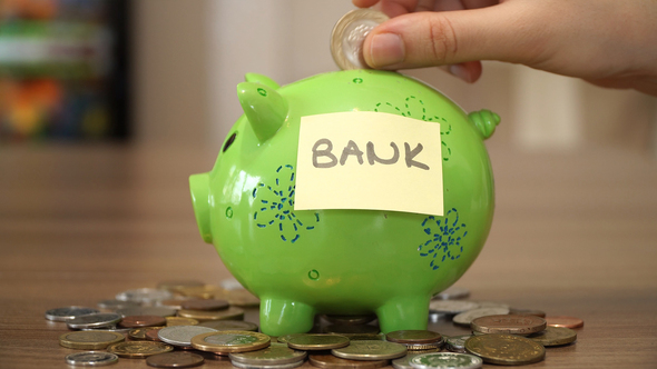 Money for Future alt