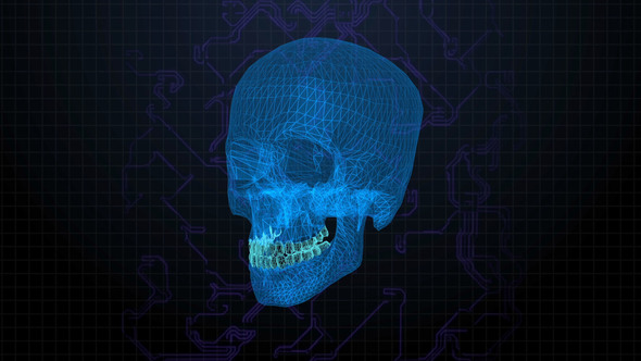 Digital Cyber Skull Head 4K alt