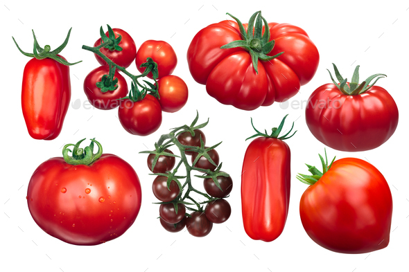 Italian tomatoes, different varieties, paths