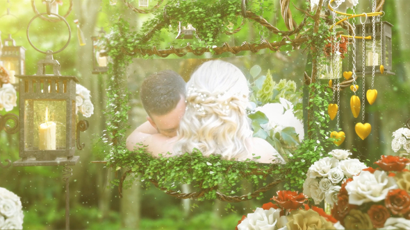 The Wedding - VideoHive 21813390