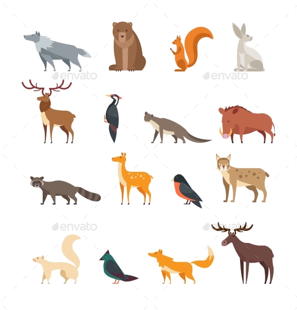 Forest Wild Animals and Birds Cartoon Vector Set - Animals Characters