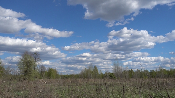 Field, Forest, Blue Sky with Clouds on a Spring Sunny Day.