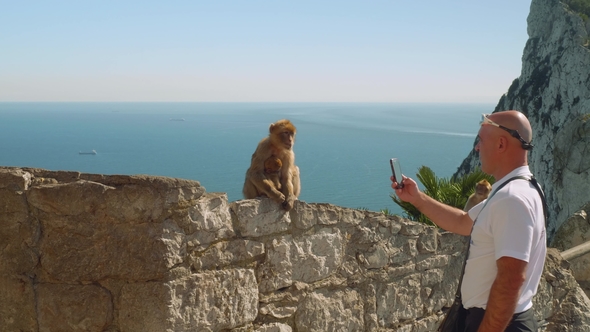 White Tourist Makes Photo of Monkey