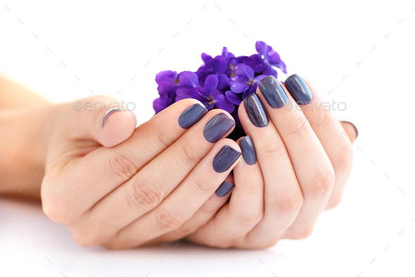 Hands of a woman with dark manicure on nails and bouquet of viol Stock Photo by Nataljusja