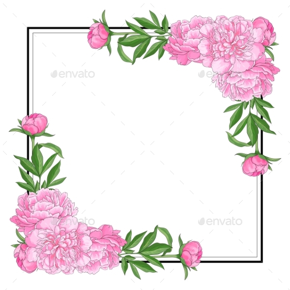 Tender Pink Peonies on Corners of Square Shape - Flowers & Plants Nature