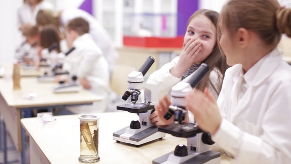 Modern Biology Lesson in Elementary School