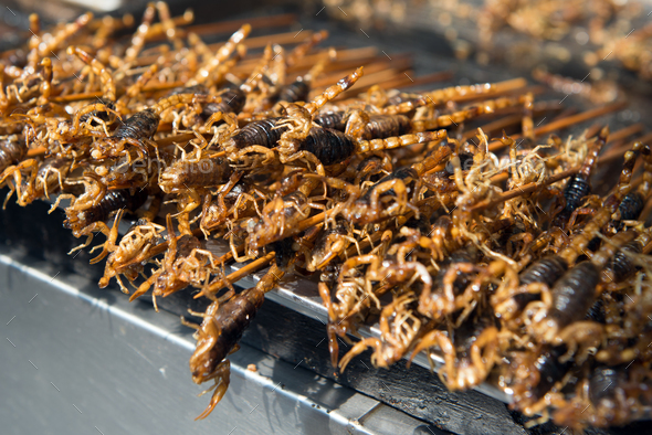 Grill and fried scorpions on stick Stock Photo by kenishirotie | PhotoDune