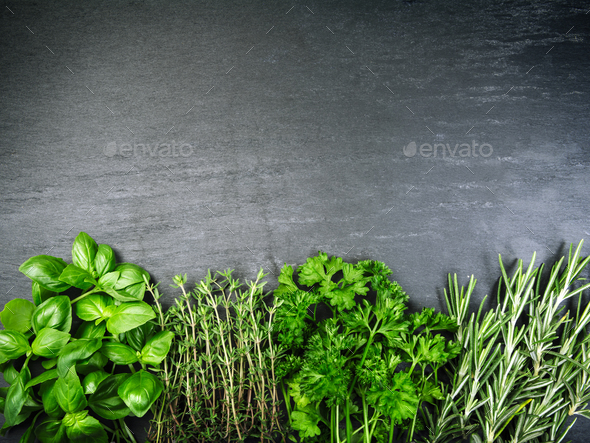 Herbs on slate background Stock Photo by sumners | PhotoDune
