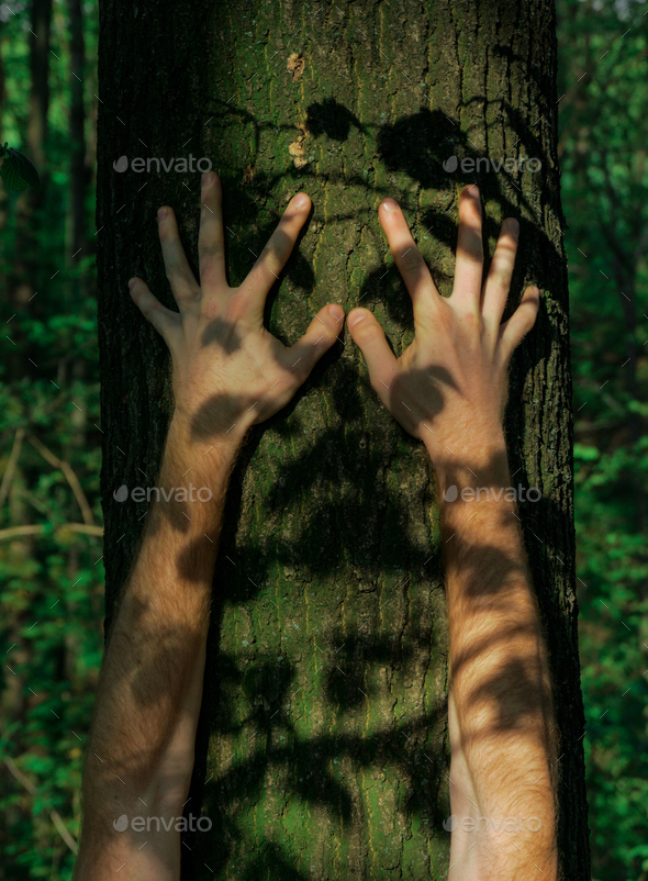 forest hug - Stock Photo - Images