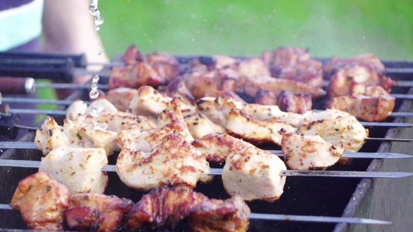 Pork Beef Kebabs on Barbecue in Summer Time in the Nature alt