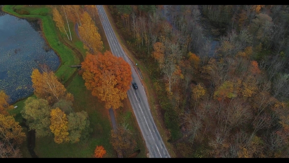 Black Car Drive on the Road in Sigulda. Bridge, Autumn Road