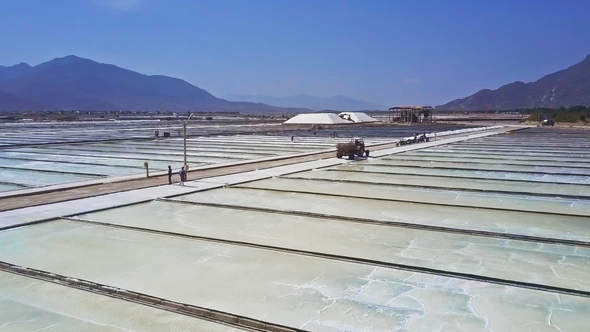 Vast Fields Evaporating Food Salt from Seawater alt