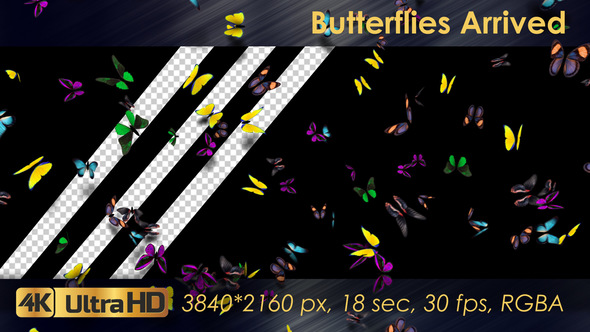 Butterflies Arrived alt