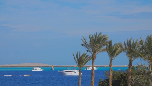 Sunny Day on the Shore of the Sea alt